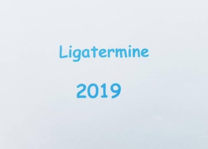 Liga 2019